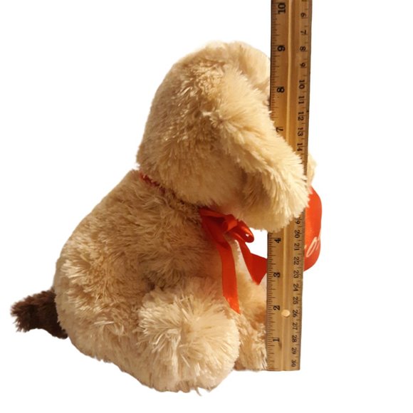 XOXO heart V'day dog - Picture 8 of 9